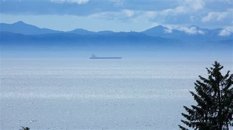 sooke flights|sooke vacations.